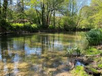 7 Chambres. Très Belle Maison de Village Avec Piscine Chauffée et Terrain En Bordure De La Charente