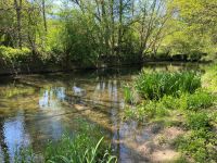 7 Chambres. Très Belle Maison de Village Avec Piscine Chauffée et Terrain En Bordure De La Charente