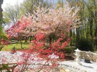 Magnifique Propriété avec son Jardin digne des plus Grands Paysagistes