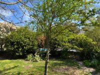 Belle maison en pierre avec jardin clos, piscine et trois chambres dans un beau village historique à