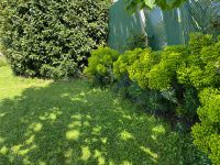 Belle maison en pierre avec jardin clos, piscine et trois chambres dans un beau village historique à