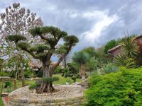 Magnifique Propriété avec son Jardin digne des plus Grands Paysagistes