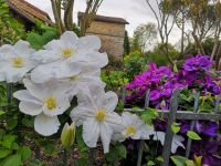 Magnifique Propriété avec son Jardin digne des plus Grands Paysagistes