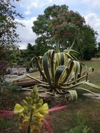 Magnifique Propriété avec son Jardin digne des plus Grands Paysagistes