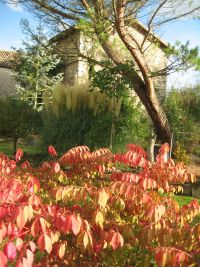 Magnifique Propriété avec son Jardin digne des plus Grands Paysagistes