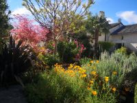 Magnifique Propriété avec son Jardin digne des plus Grands Paysagistes