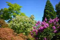 Magnifique Propriété avec son Jardin digne des plus Grands Paysagistes