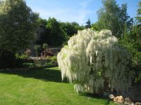 Magnifique Propriété avec son Jardin digne des plus Grands Paysagistes