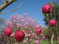 Magnifique Propriété avec son Jardin digne des plus Grands Paysagistes