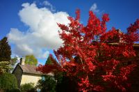 Magnifique Propriété avec son Jardin digne des plus Grands Paysagistes